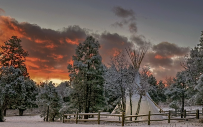 Newsletter March 2025